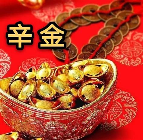 辛金日主|十天干命主白話解說